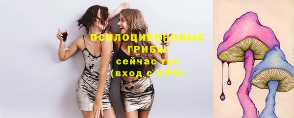 прущая мука Мегион