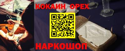 спайс Кингисепп